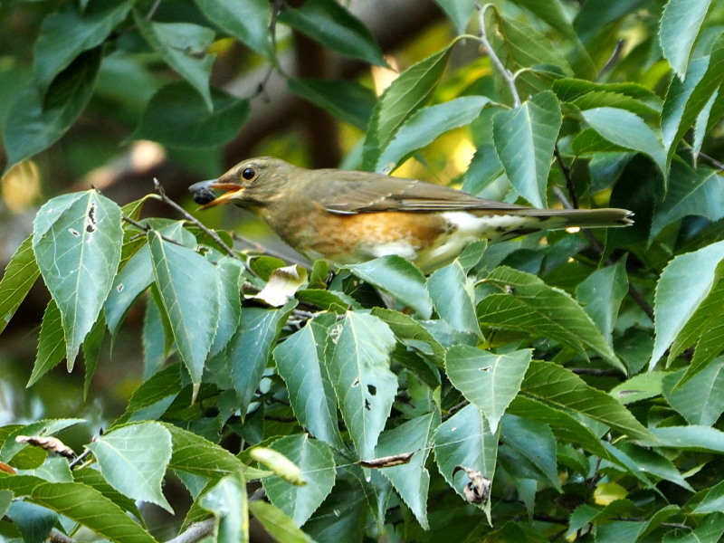 f0208666_2374788.jpg
