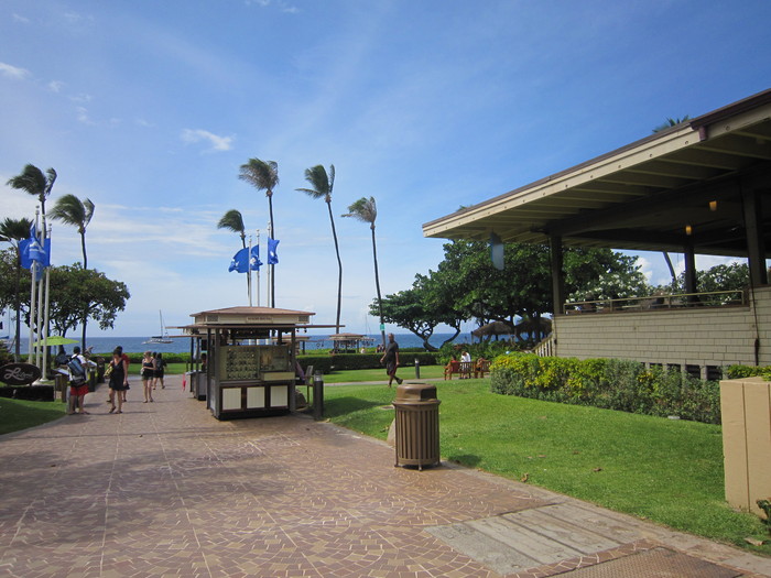 b0126868_13562768.jpg