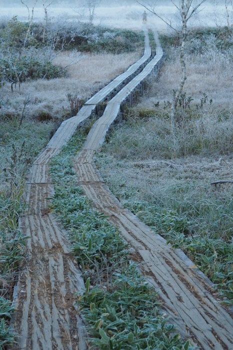 e0307372_15205518.jpg