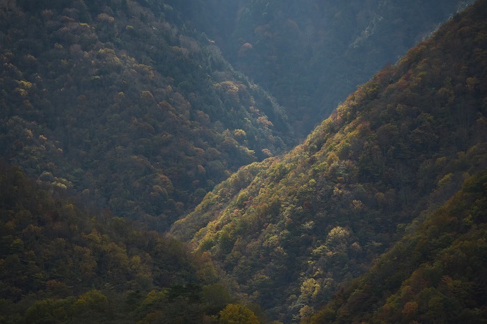 e0344574_12552818.jpg