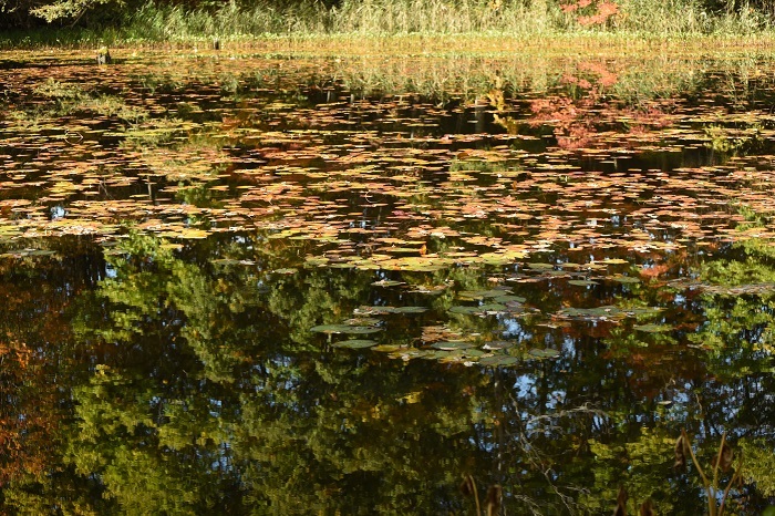 e0344574_13301882.jpg