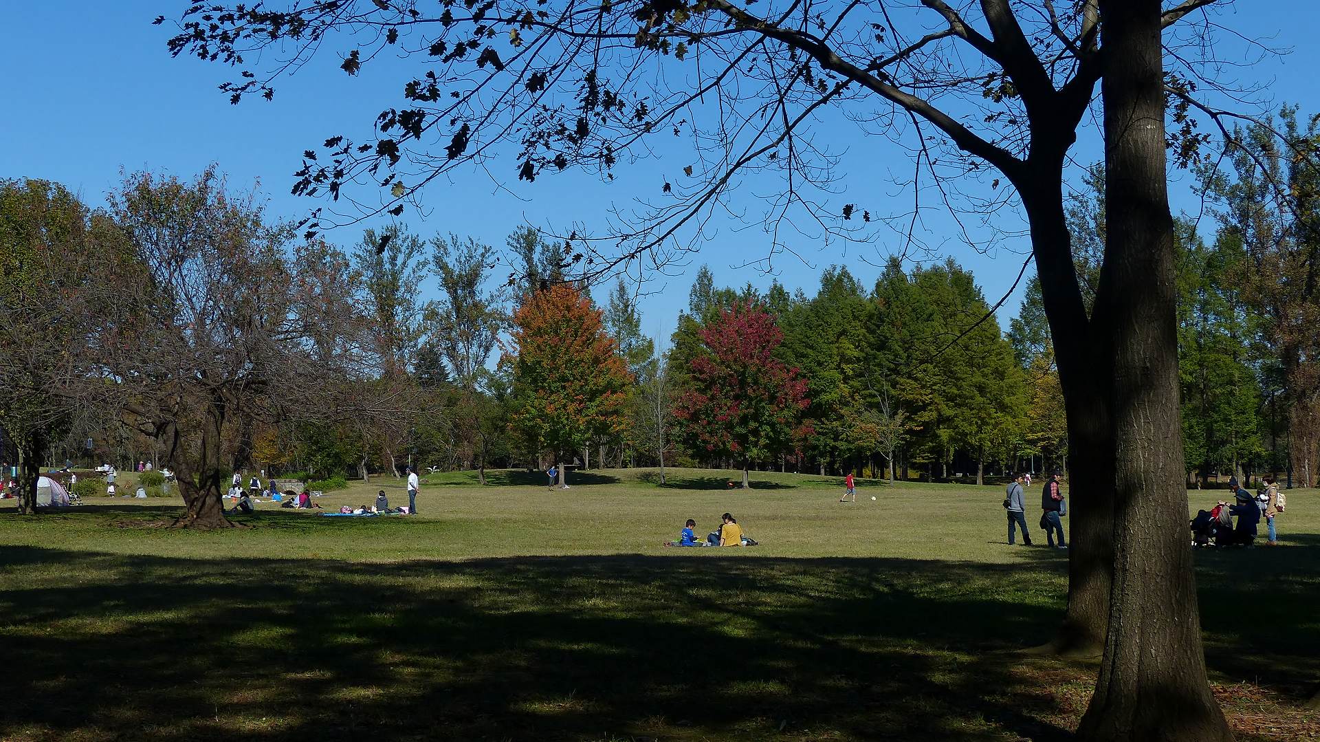 a0185081_2214935.jpg