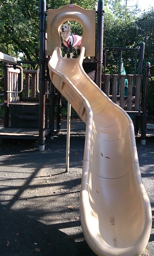 b0136381_1575556.jpg