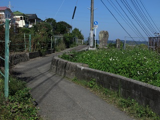 e0130185_20103848.jpg