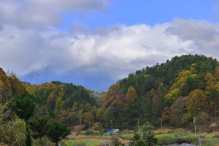 a0130586_942281.jpg
