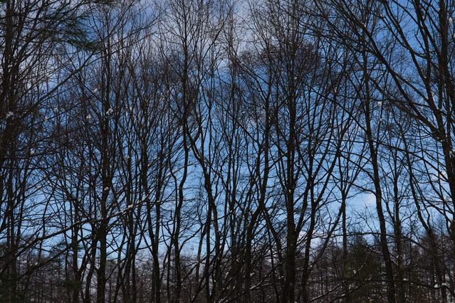 b0227087_14505132.jpg