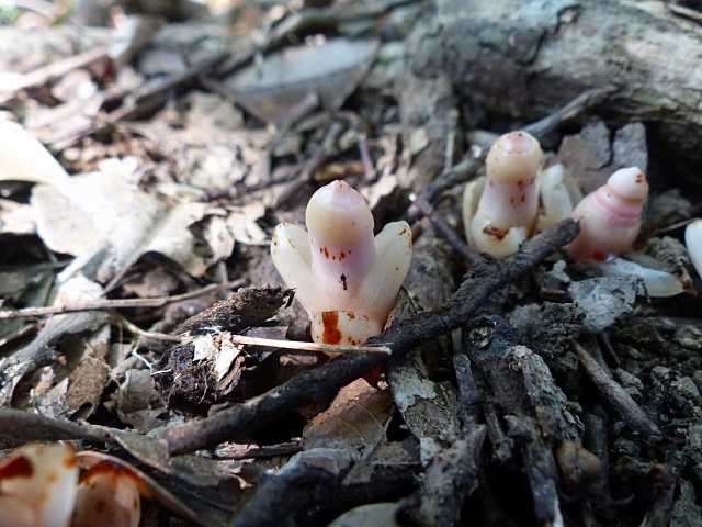 f0357487_2242383.jpg