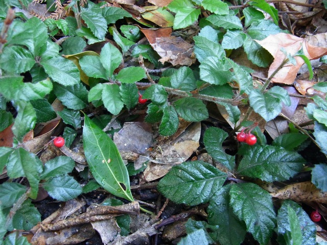 f0357487_22511647.jpg