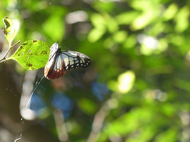 f0357487_2254586.jpg