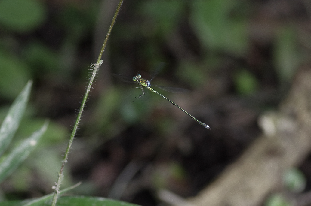 d0209988_22454787.jpg