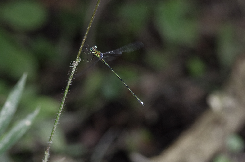 d0209988_224625.jpg