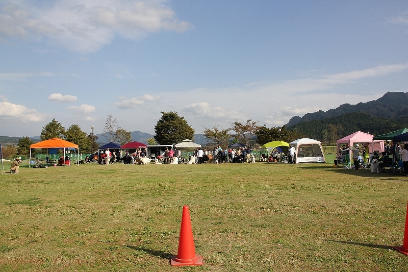 b0135889_15220799.jpg