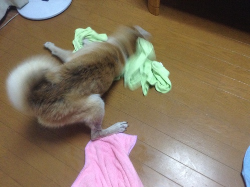 c0123890_2041370.jpg