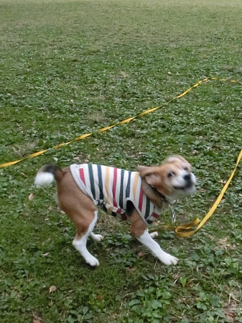 a0319693_723886.jpg