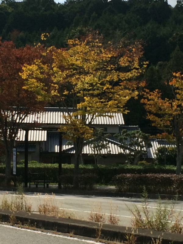 f0376195_16331653.jpg