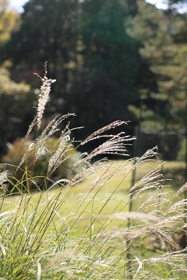 e0209997_21531825.jpg