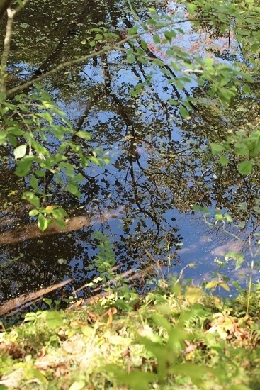e0209997_21535156.jpg