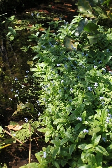 e0209997_21544111.jpg