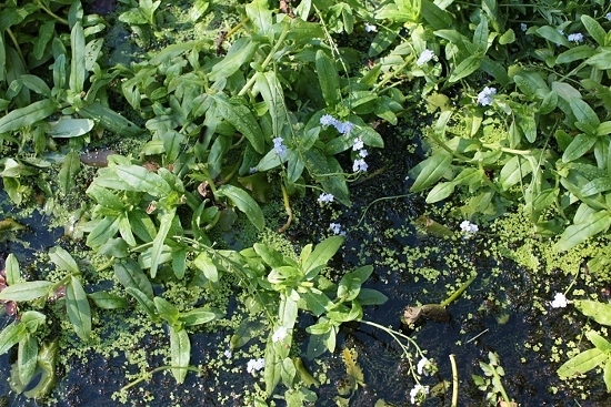 e0209997_21551708.jpg