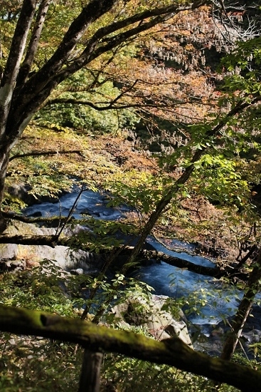 e0209997_21560412.jpg