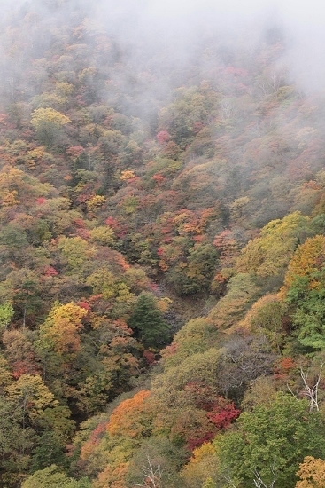e0209997_23331929.jpg