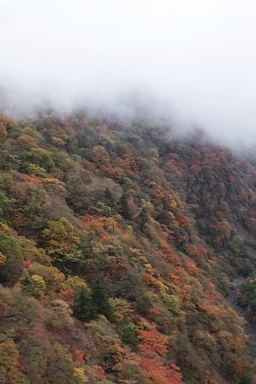 e0209997_23333789.jpg