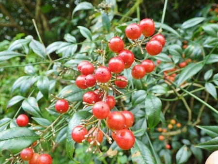 a0125598_19411460.jpg