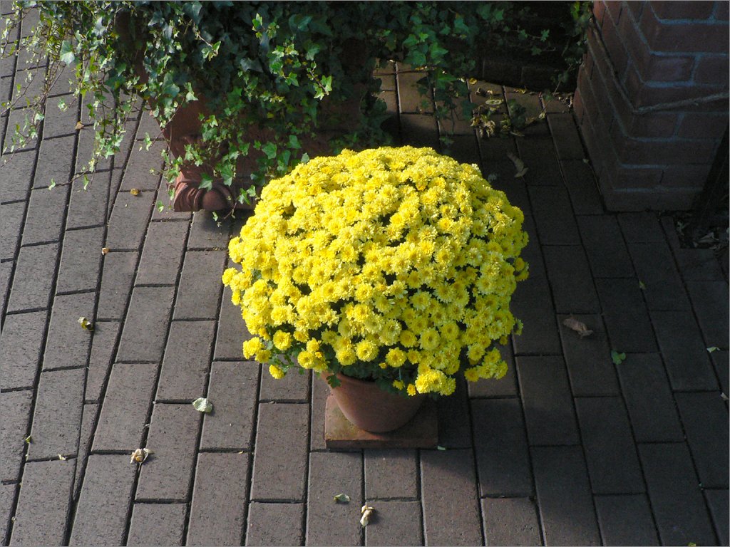 d0353401_22581310.jpg