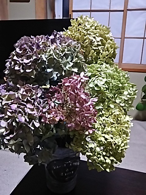 f0316507_15174661.jpg