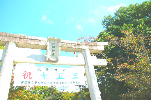 d0160611_20262861.jpg