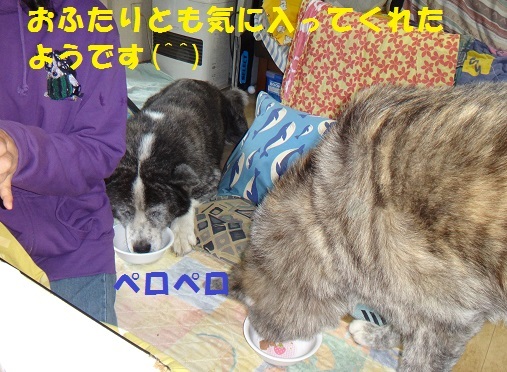 f0121712_07502125.jpg