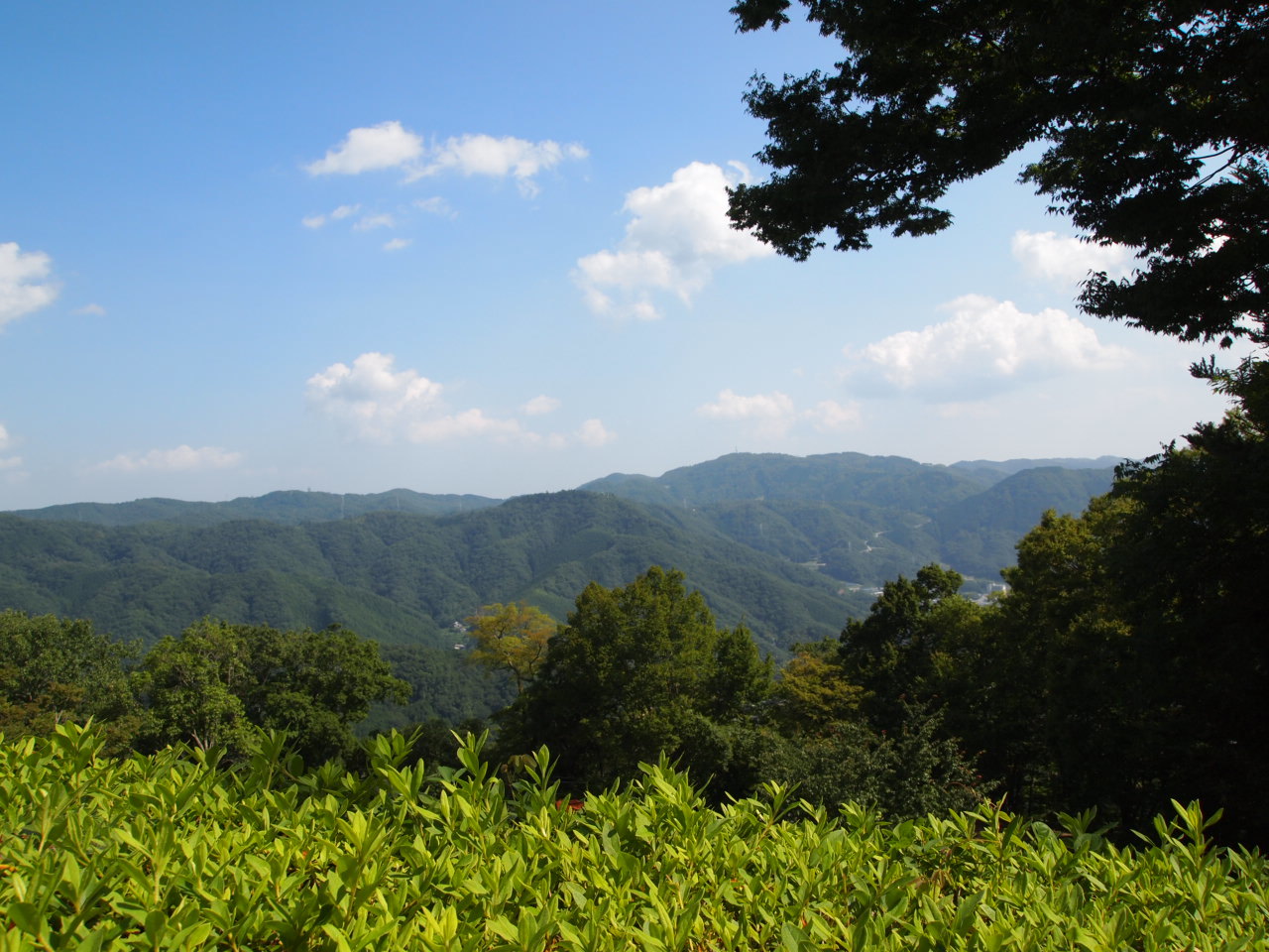 f0231829_21595958.jpg