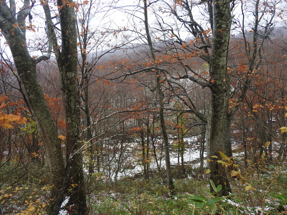 f0118332_21593747.jpg