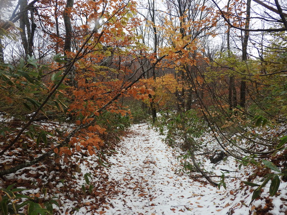 f0118332_21594829.jpg