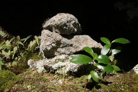 a0129233_1621379.jpg