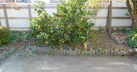 e0097534_15432440.jpg