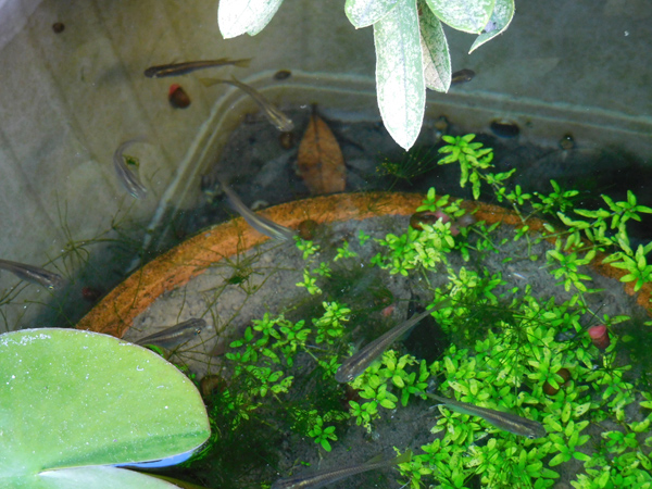 e0097534_15473646.jpg