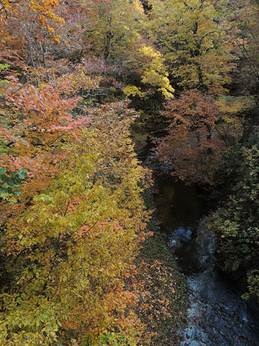 c0023443_12304925.jpg