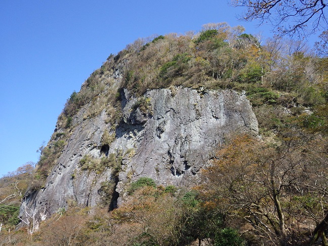 e0164643_1559412.jpg