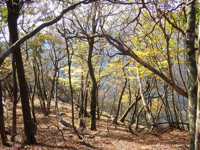e0164643_1683319.jpg