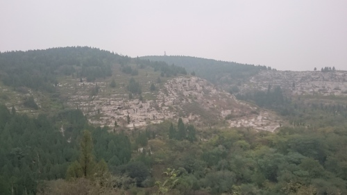 d0038545_10215182.jpg