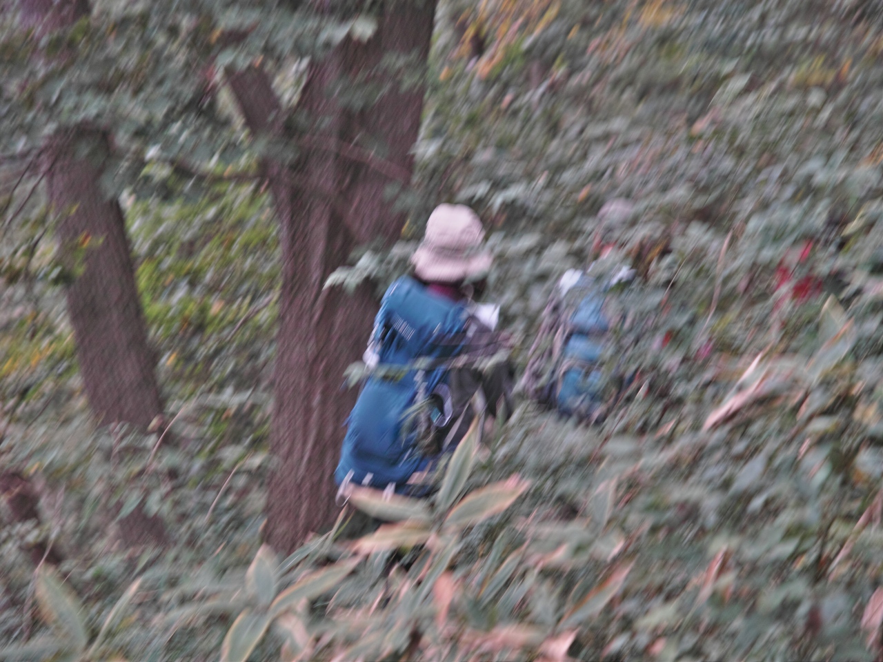 c0008948_213737100.jpg