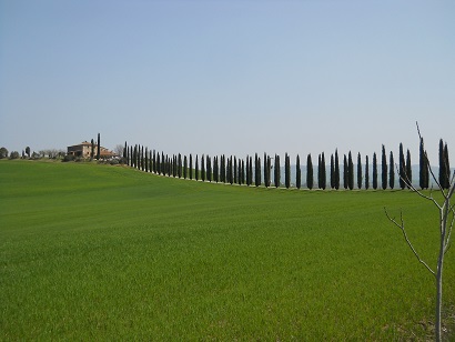 c0086649_6451752.jpg
