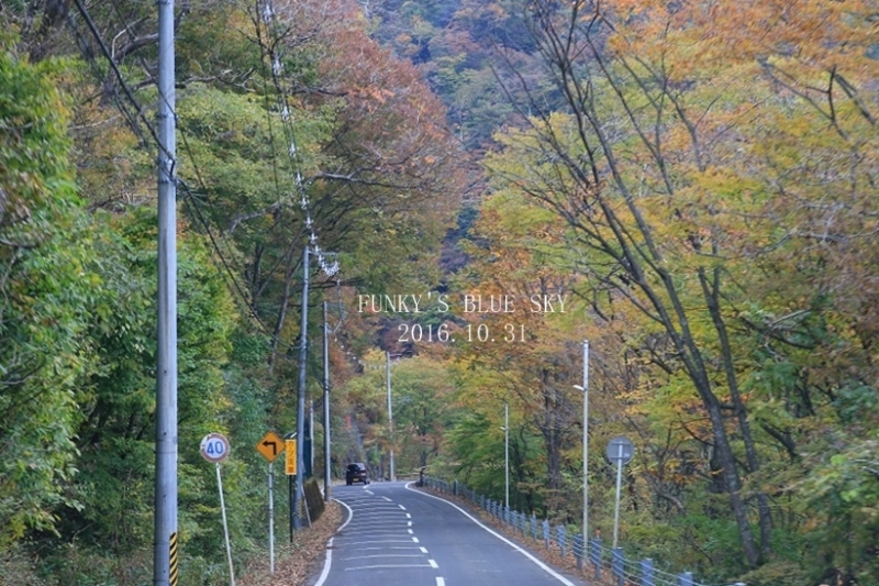 c0145250_11361936.jpg