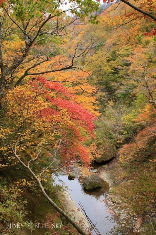 c0145250_11363382.jpg
