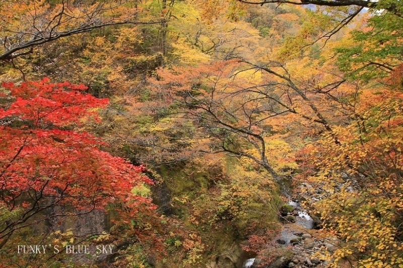 c0145250_11363921.jpg