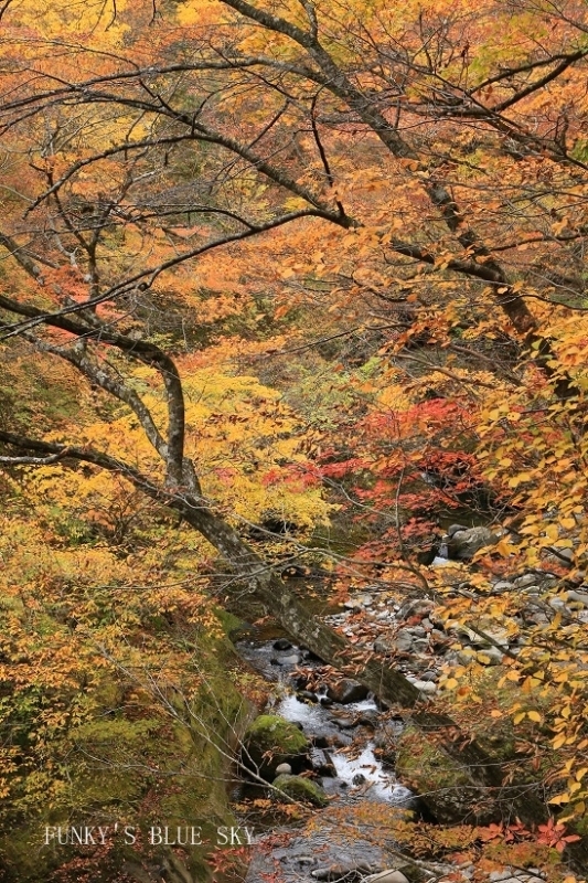c0145250_11364813.jpg