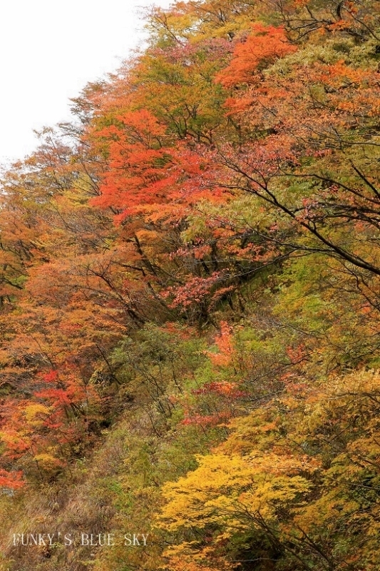 c0145250_11365146.jpg