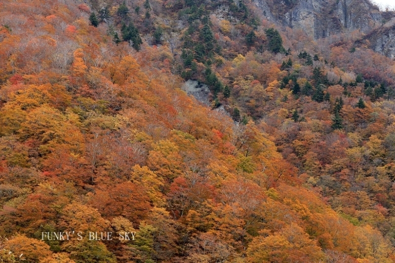 c0145250_11370784.jpg