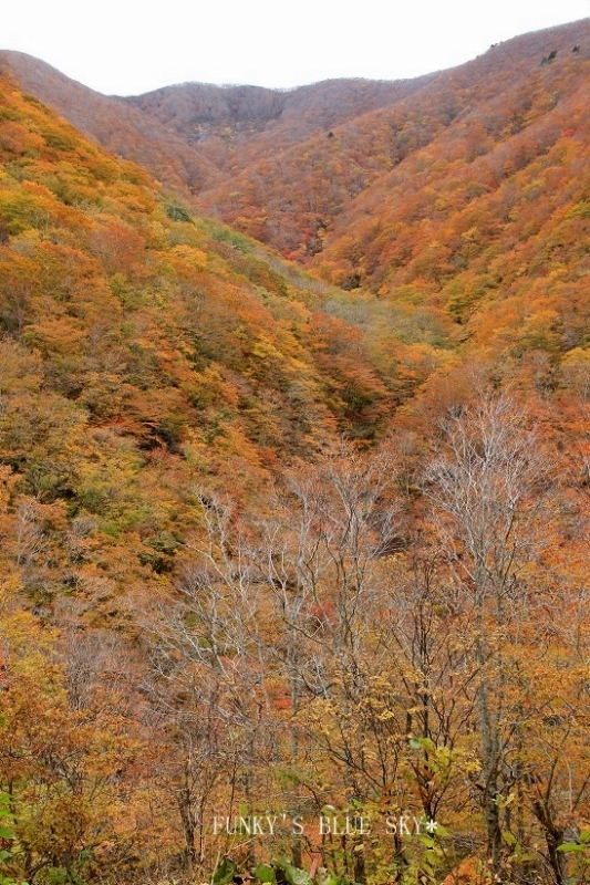 c0145250_11371064.jpg